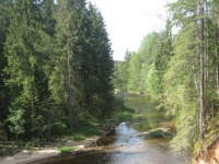 2016-05-13 15h15m41 - IJsvogelriviertje - Gerda van der Meer